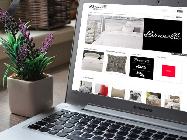 Solidus Web Development