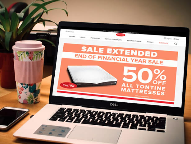 Solidus Web Development